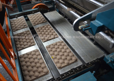 Automatic Rotary Pulp Egg Tray Machine / Plup Box Making Machinery For Fruit