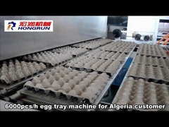 6000pcs/h paper egg tray production line